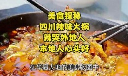 辣味美食爆料视频大全,揭秘热门爆料视频大全
